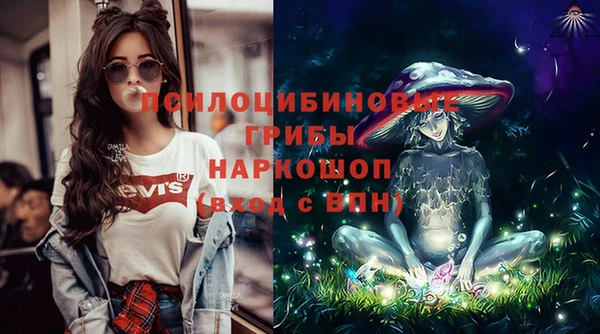соль курить ск Дмитриев