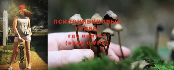 соль курить ск Дмитриев