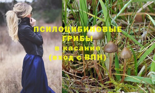 соль курить ск Дмитриев